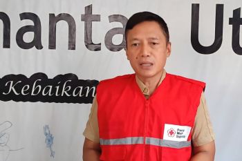 PMI Kaltara salurkan donasi Rp87,5 juta untuk bantu korban gempa NTT