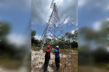 PLN pastikan infrastruktur kelistrikan Pangkalan Bun aman dan penuhi aspek lingkungan
