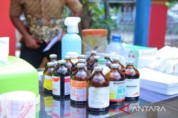 Dompu perkuat koordinasi cegah peningkatan kasus gigitan HPR
