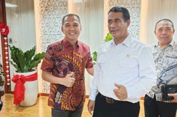 Kolaka siapkan lahan empat hektare bangun mesin penggilingan padi modern terintegrasi