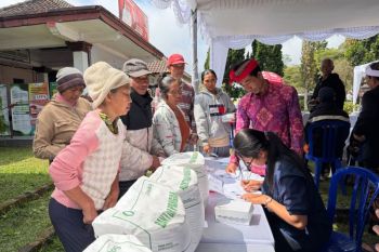 Bulog Bali percepat bantuan pangan beras untuk 37 ribu warga Tabanan