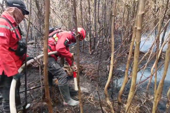 Manggala Agni padamkan karhutla di Kebun Raya Sriwijaya Ogan Ilir