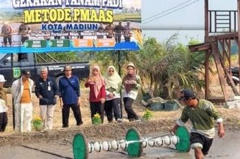 DKPP Kota Madiun dorong petani terapkan pertanian modern