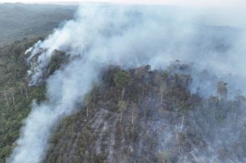 20 hektare lahan terbakar berhasil dipadamkan di Sepaku