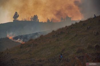TNBTS tutup total aktivitas wisata Bromo demi percepat pemadaman