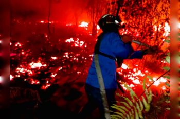 Status Tanggap Karhutla Kotim berpotensi kembali diperpanjang