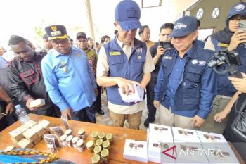 Pemkab Manokwari replikasi program Ekspedisi Patriot wujudkan ekonomi mandiri