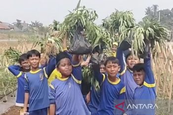 Pemkab Bogor jadikan median Jalan Bomang eduwisata ketahanan pangan