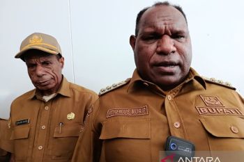 Pemkab sebut 90 guru Indonesia Cerdas mengajar di 137 SD-SMP Jayawijaya