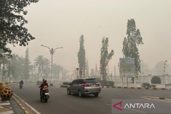 Buntok diselimuti asap tebal, masyarakat diimbau gunakan masker