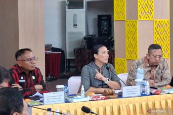 Pansus DPR RI mendorong desain industri jadi aset ekonomi NTT