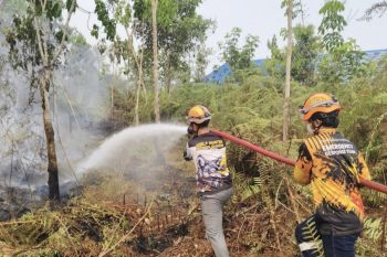 PT SKS Listrik Kalimantan dukung pencegahan dan penanganan karhutla