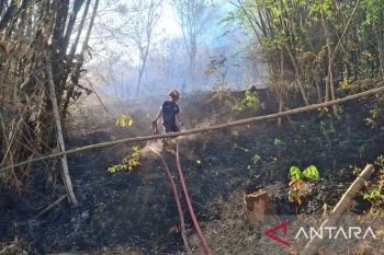 Damkar Tulungagung amankan permukiman dari karhutla