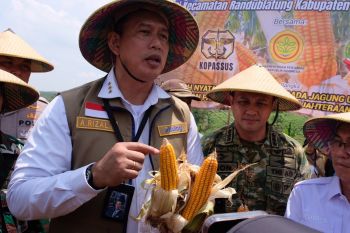 Bulog mencatat realisasi distribusi jagung SPHP mencapai 159,3 ribu ton