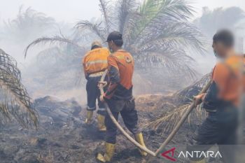 Tim satgas padamkan karhulta di perkebunan sawit Gunung Megang Muara Enim