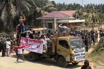 Petani Rantau Pulung Kaltim tuntut realisasi plasma ke perkebunan sawit