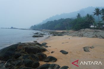 Temajuk berpeluang jadi destinasi wisata lintas batas RI dan Malaysia