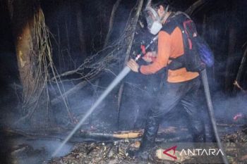 BPBD Barut lanjutkan pemadaman karhutla di kawasan observasi Chanee Kalaweit