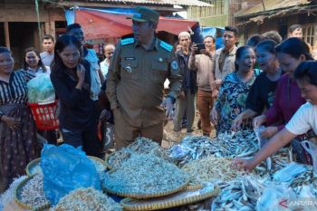 https://cdn.antaranews.com/cache/350x233/2026/09/14/jtp-tinjau-pasar.jpg