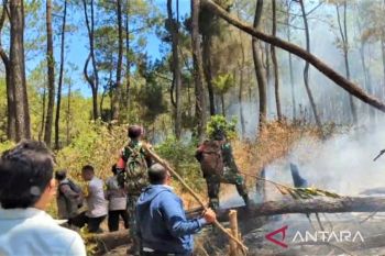 Petugas gabungan masif padamkan karhutla di lereng Lawu Magetan