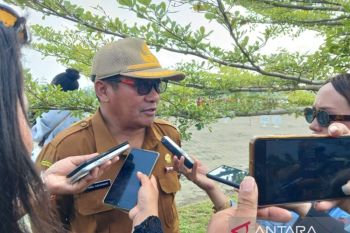 Kementan siap cetak 7.000 hektare sawah di Mimika