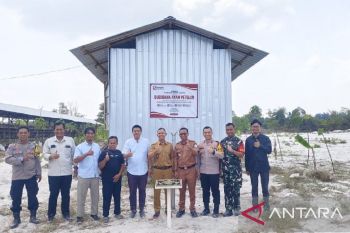 Budidaya Ayam Petelur jadi penggerak ekonomi di Desa Biru Maju