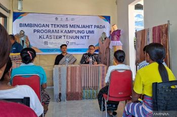 DJPb NTT dan PIP dorong penenun TTU kembangkan produk turunan
