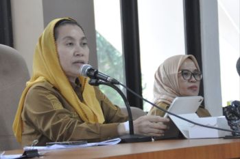 Imelda Liliana: Indeks ketahanan daerah bagian penguatan mitigasi bencana