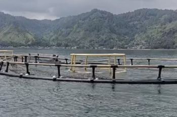 Seputar KJA bulat di Haranggaol Danau Toba, Lurah tegaskan milik pengusaha lokal