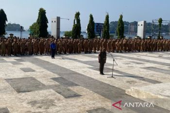 Pemprov Papua tegaskan TPP diberikan berdasarkan kinerja ASN