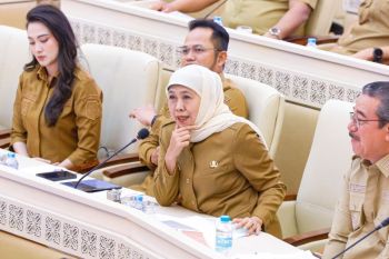 Gubernur Jatim dorong perlindungan lahan pertanian selaras industrialisasi