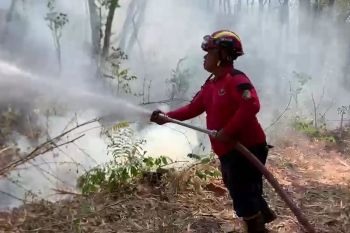Damkar Tulungagung padamkan karhutla Gunung Budeg