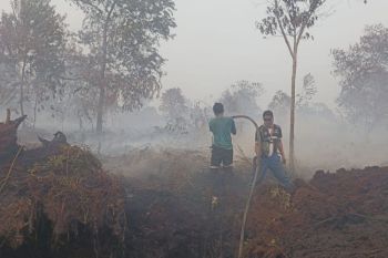 APHI Riau gotong royong dan kolaborasi tingkat tapak cegah dan pemadaman Karhutla paling efektif