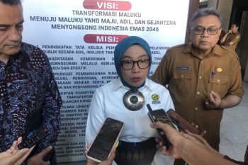 Kementerian ESDM kembangkan energi terbarukan di Pulau Buru dorong percepatan energi daerah terpencil
