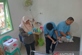 Kementan siapkan 1.000 dosis vaksin rabies di Bangka