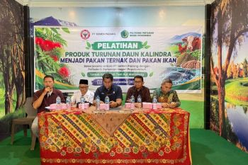 Petani Aur Malintang Belajar Olah Kaliandra Jadi Pakan, Didukung Mesin Pencacah dan Pembuat Pelet