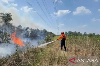 PLN siaga hadapi Karhutla, lindungi jalur transmisi strategis Simpang Tiga--Keramasan