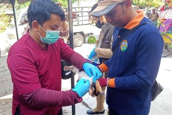 DKPP Kota Madiun berikan layanan kesehatan hewan keliling di kelurahan