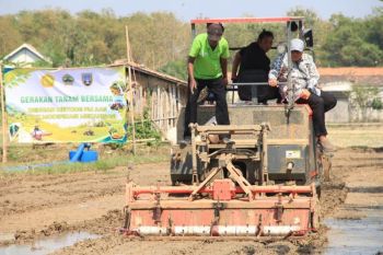 Rembang terapkan metode tanam PM-AAS dengan harapan dongkrak produktivitas padi
