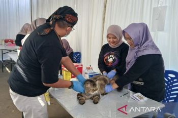 Pemkab Temanggung menyiapkan 450 vaksin rabies untuk hewan peliharaan