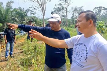 Kuasa hukum minta dasar pemanfaatan kawasan sengketa Sikabau-PT KBL dibuka