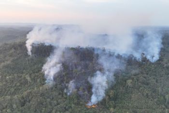 BPBD Kaltim dan mitra semai garam cegah karhutla