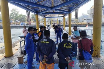 Polisi selidiki dugaan perburuan penyu sisik oleh WNA Tiongkok