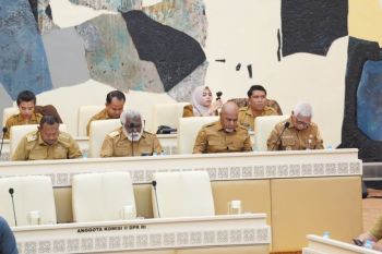 Papua Tengah bentuk BUMD sebagai penggerak ekonomi daerah