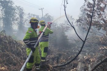 Aksi tanggap PT AGM sinergi padamkan karhutla hingga salurkan air bersih