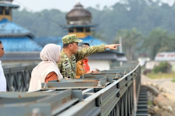 Satgas: 11 indikator pemulihan-masyarakat telah berstatus hijau