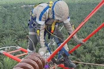 PLN Jaga keandalan listrik Timur Aceh, PDKB ganti isolator Langsa--Idi tanpa padam