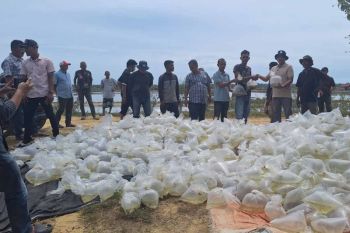 DKP Aceh salurkan 51,7 juta benih dukung pemulihan tambak pascabencana