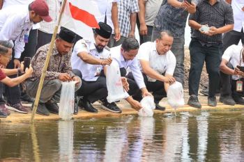 KKP bantu 4,2 juta benur udang dukung pemulihan tambak di Aceh Timur