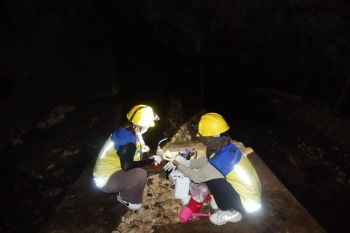 BBWSSO cek kualitas air enam titik sungai di Gunungkidul, Ini hasilnya
